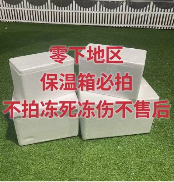 多肉植物专用保温棉～零度必拍