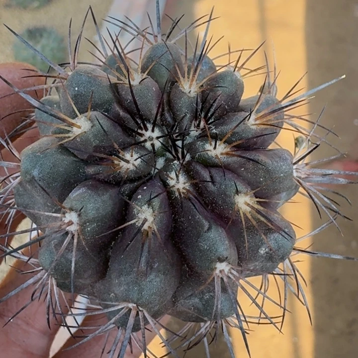 下播福利222222222