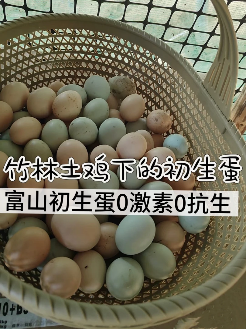 富山田野山间散养初生土鸡蛋适合宝宝孕妇月子老人50枚