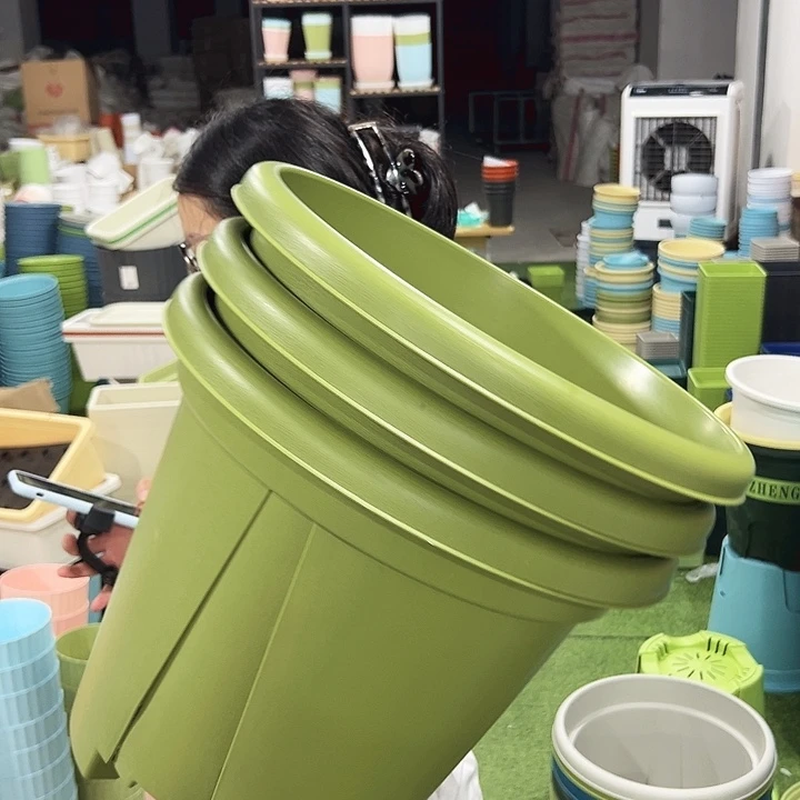 青山口40高34果绿3只无托