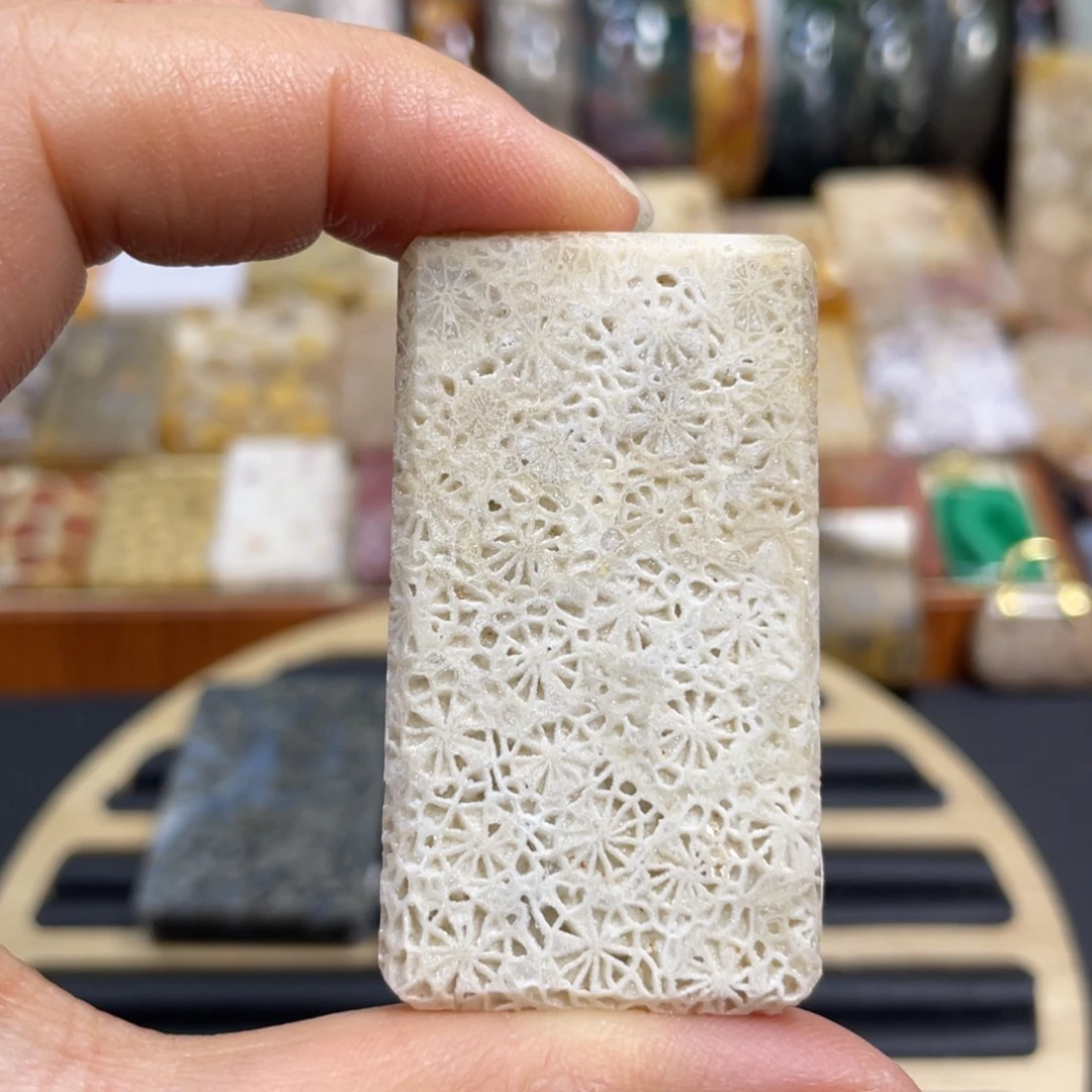 硅化玉未镶嵌颈饰k26