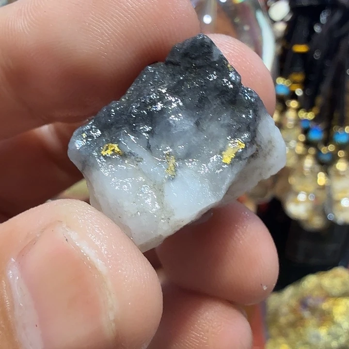 聚金阁的自然金标本