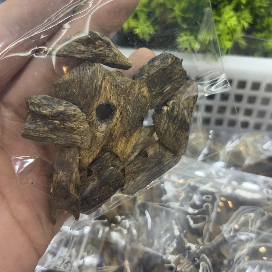 【沉香兄弟】树心油DIY香料-20克｛带炭炉｝