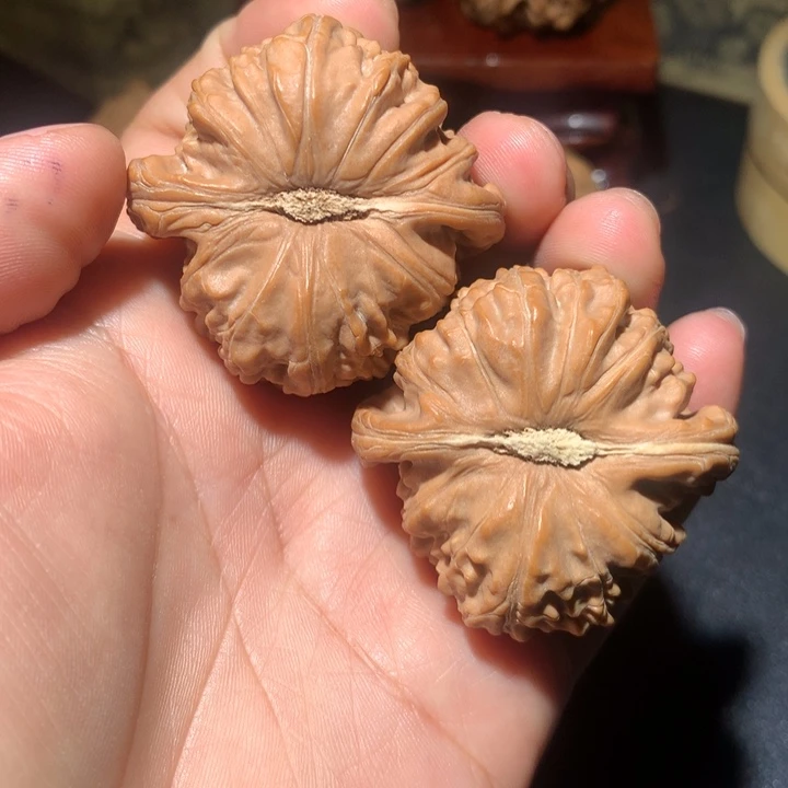 把件文玩核桃随***安白狮子