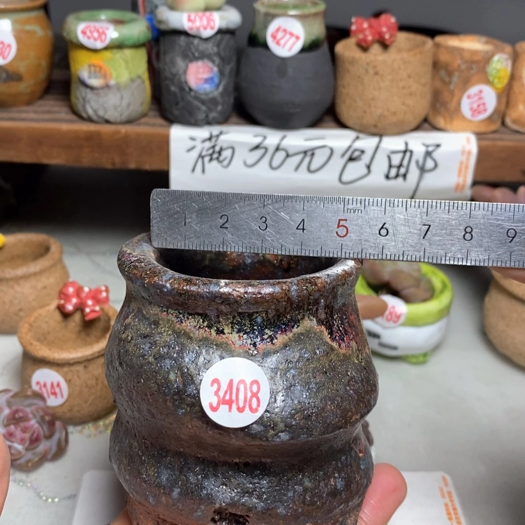 红陶拍5送一个小