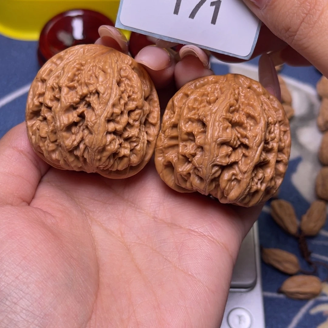 核桃粗筋40尺.171