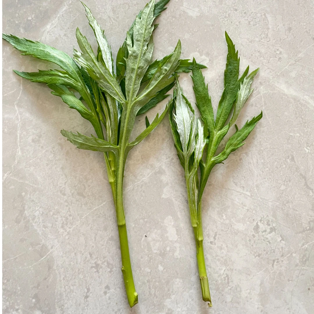 新鲜野生藜蒿泥蒿青梗现挖现发