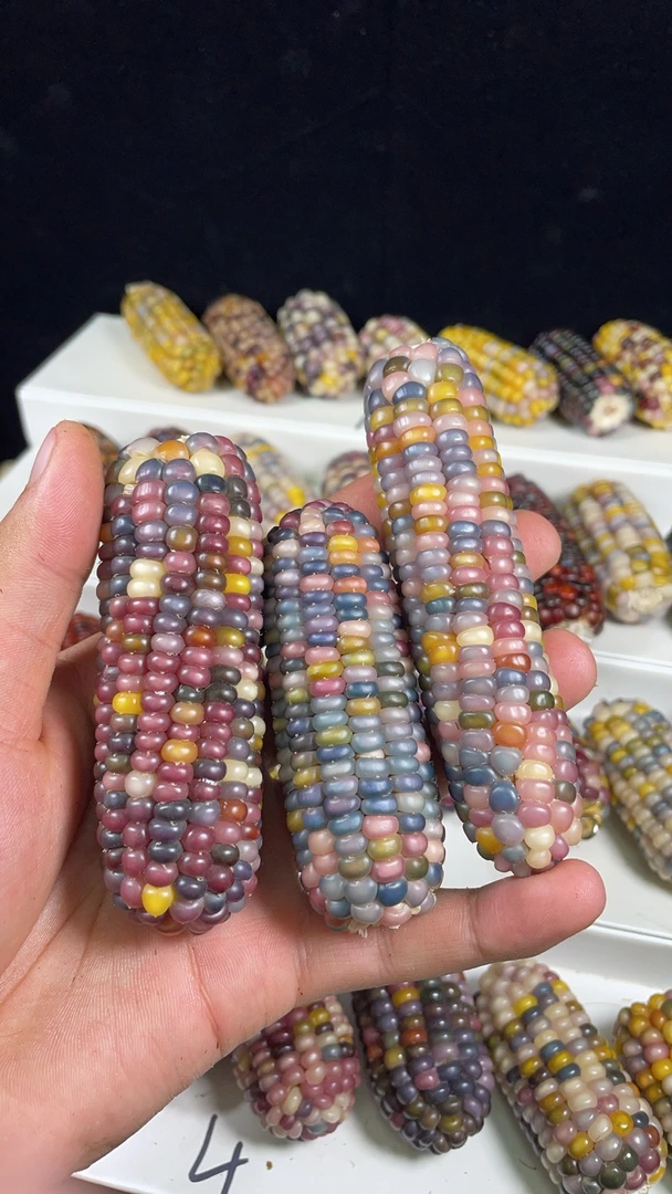 创意手工文玩玉米小摆件