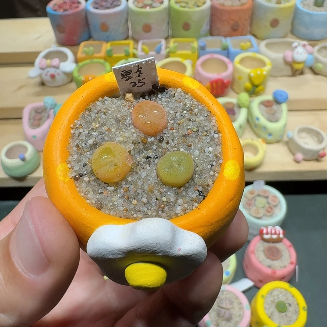 红陶蘑菇396空卡