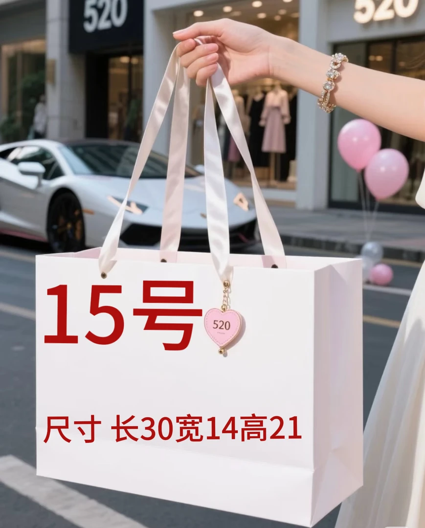 15号简约气质包  自主品牌  A6572-1