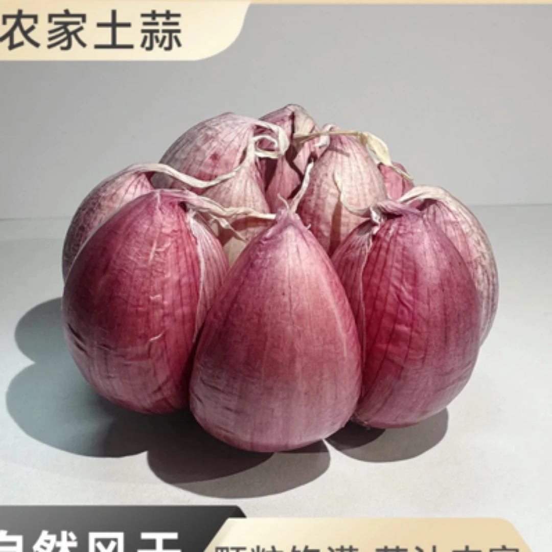 农村自产自销紫皮大蒜