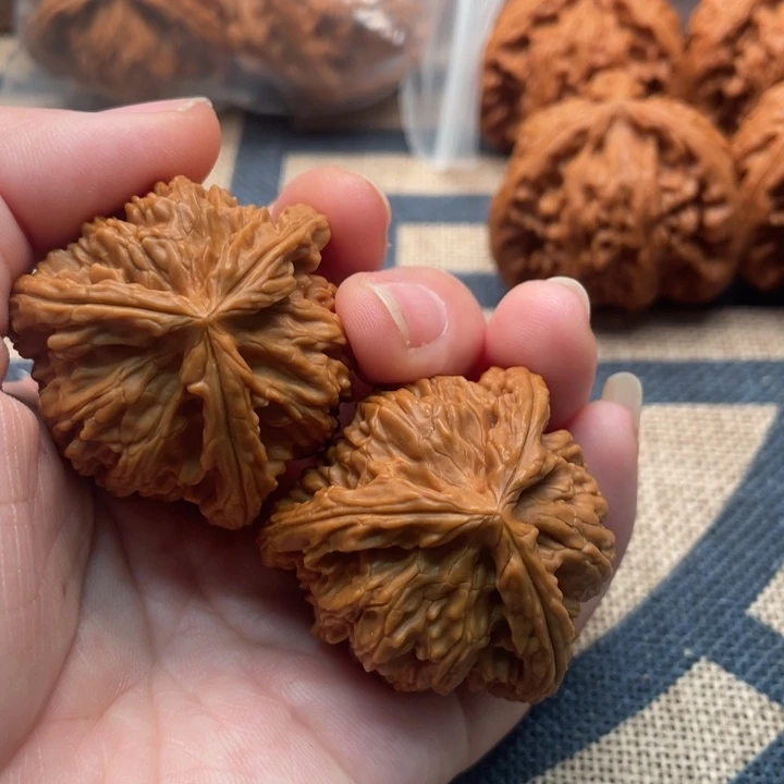 ས***༒核桃白狮子39核桃