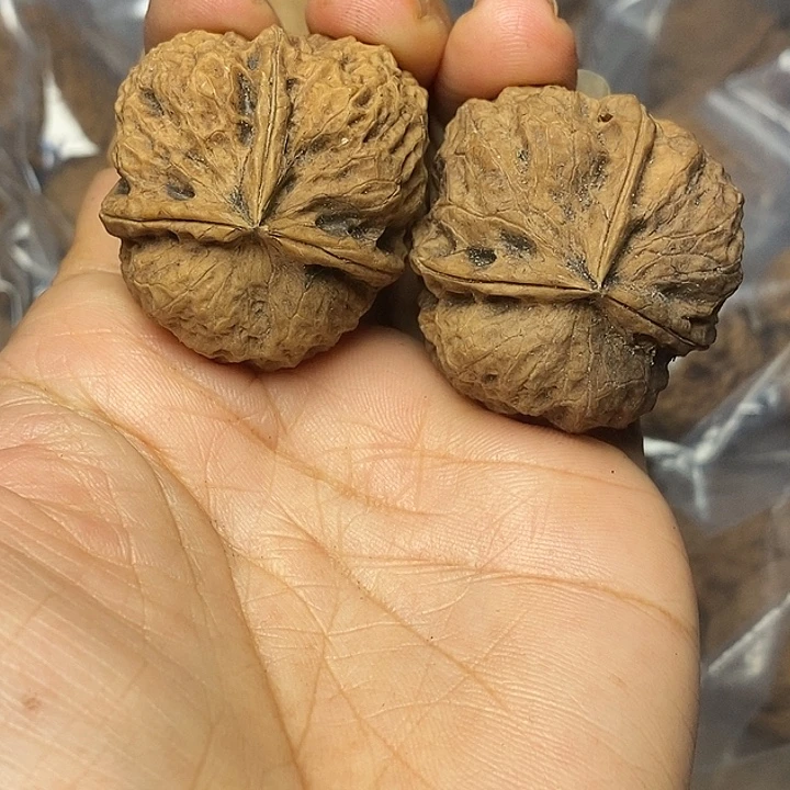 文玩核桃把件云南铁核桃60