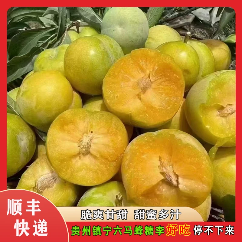 冰雹果贵州镇宁六马蜂糖李源产地李子鲜果精选当季水果