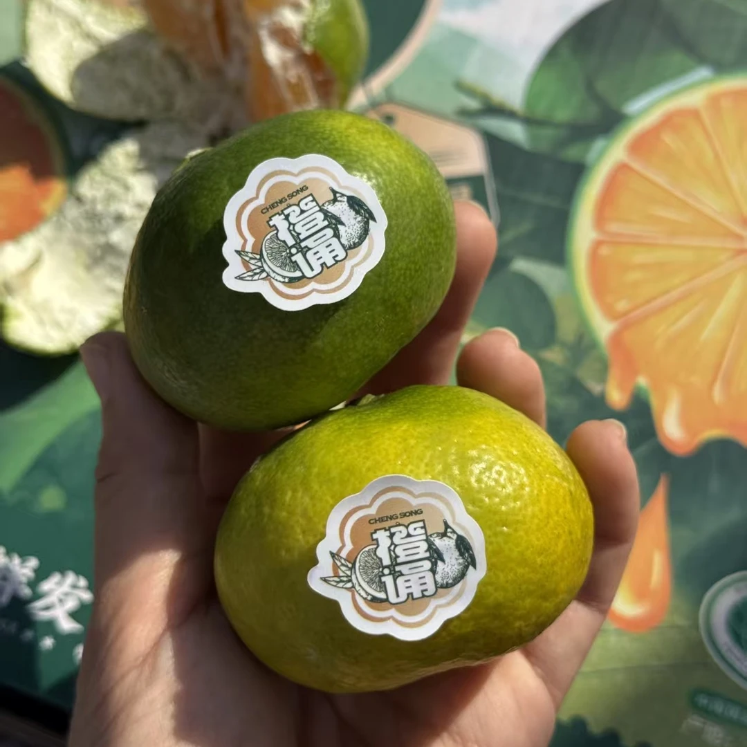 秋天的第一口蜜橘寻乌蜜桔江西省