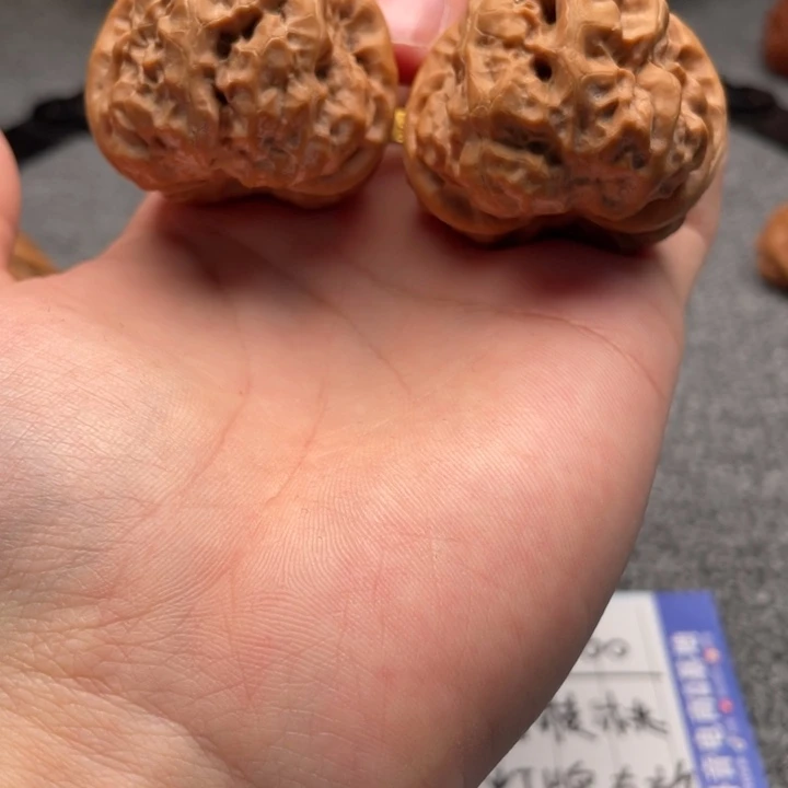 耐****大叶紫檀（黑酸枝木类）蛤蟆头C08