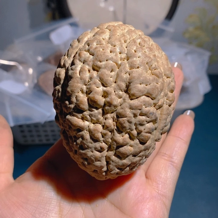 定***力野生三瓣脑纹大金刚6075