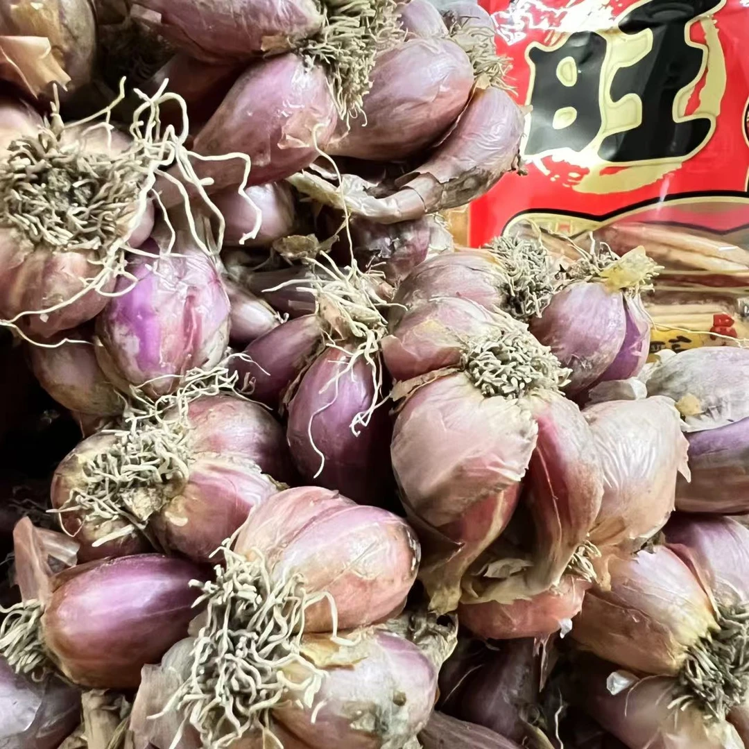 广东 从化 农家 本地 红葱头