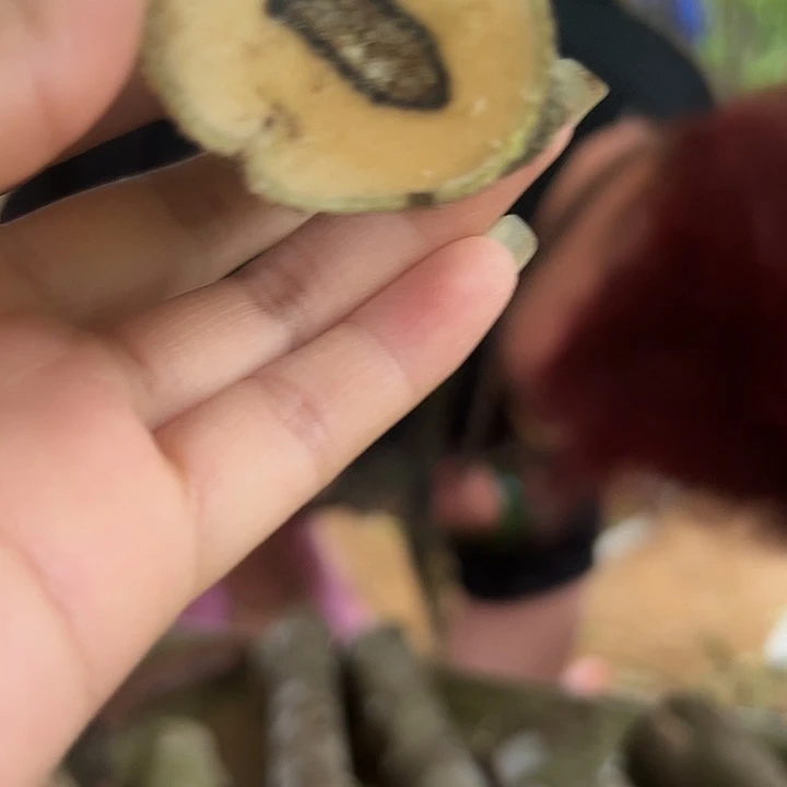 线香奇楠沉香原木