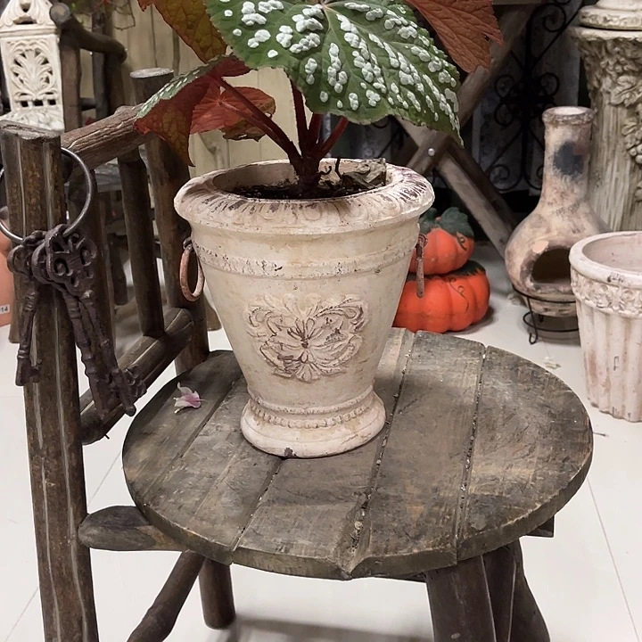 白色双耳铁环22*23