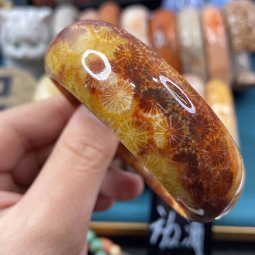 未镶嵌手镯硅化玉