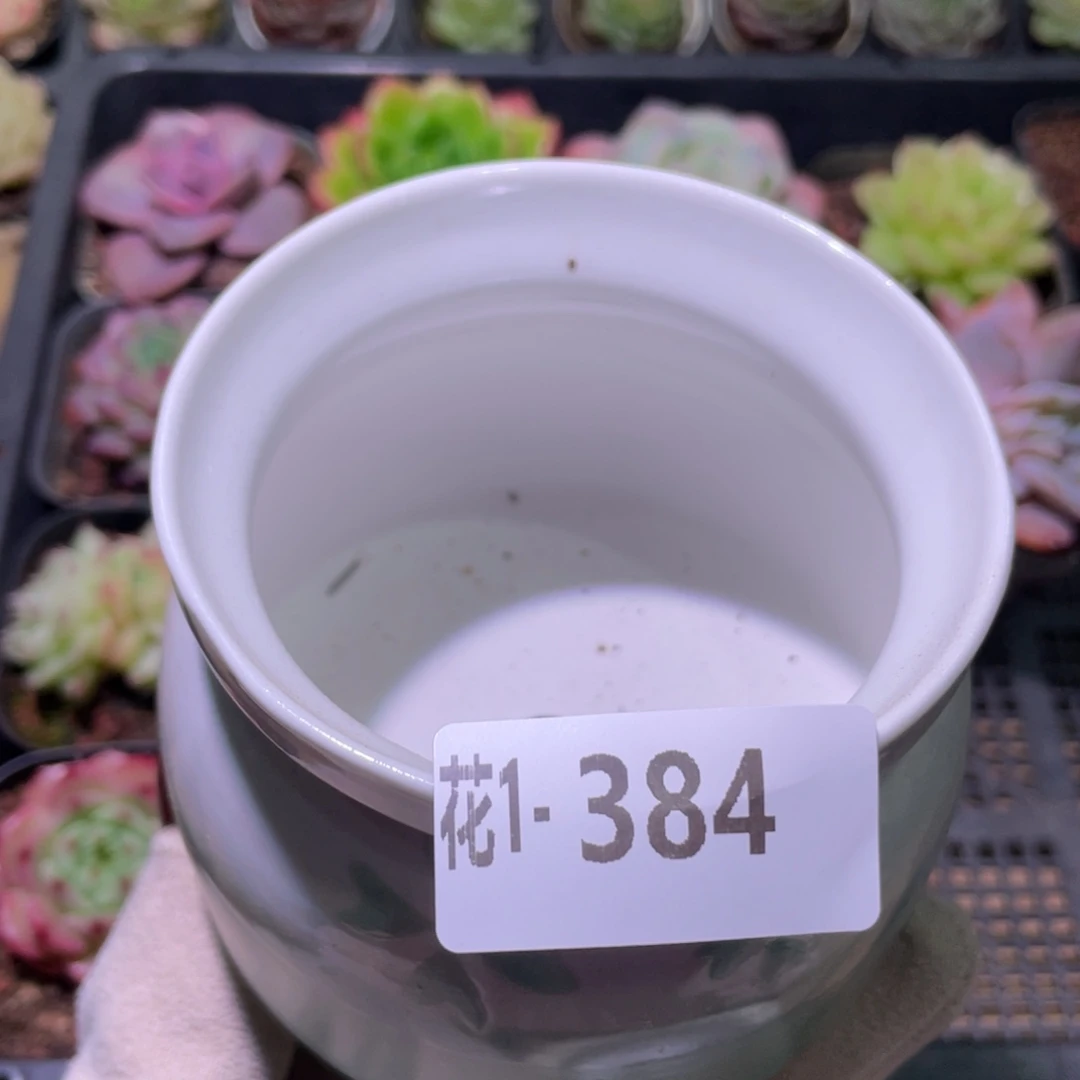 花利美1-384花盆一个