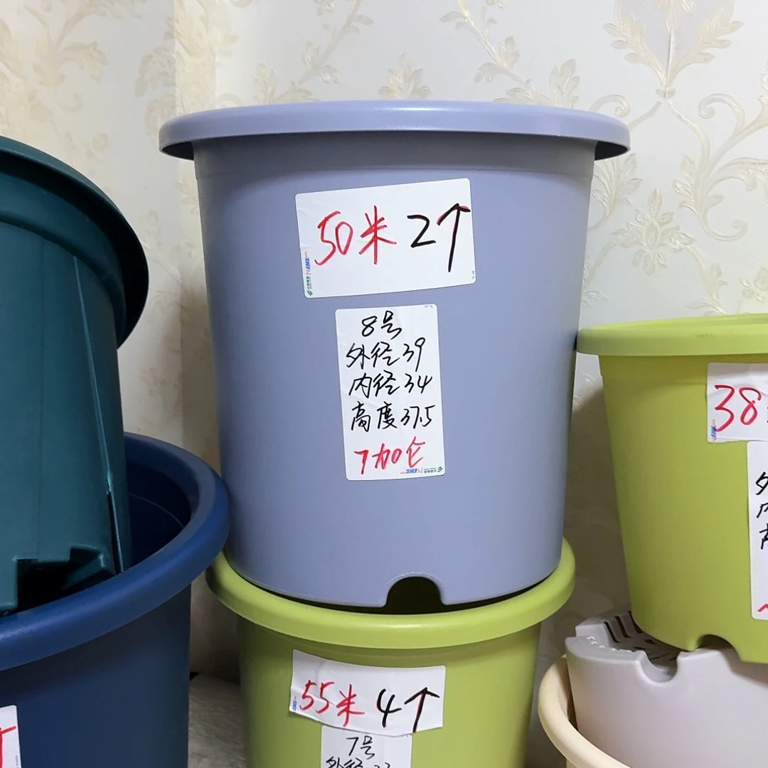 果绿色8号无拖5个