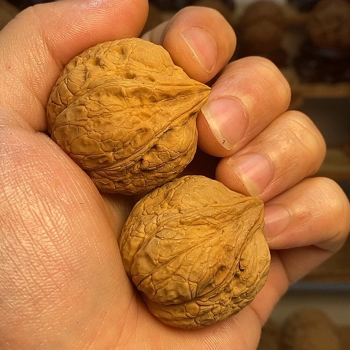 文玩核桃吊坠佛肚25