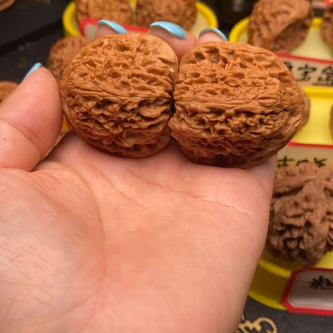 菩提籽类三间疆疆