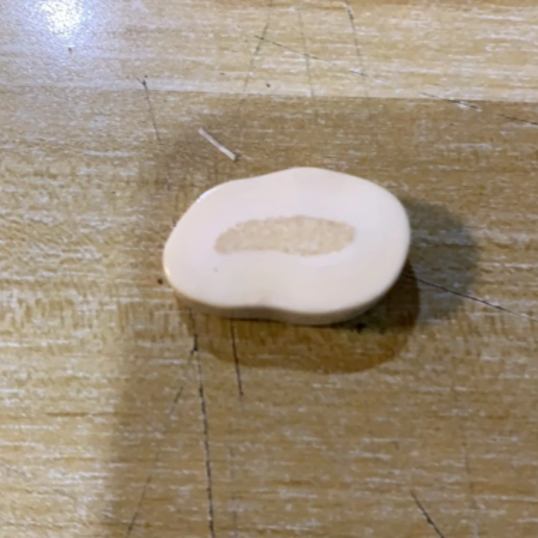 猛犸猛犸虬饼子WW215