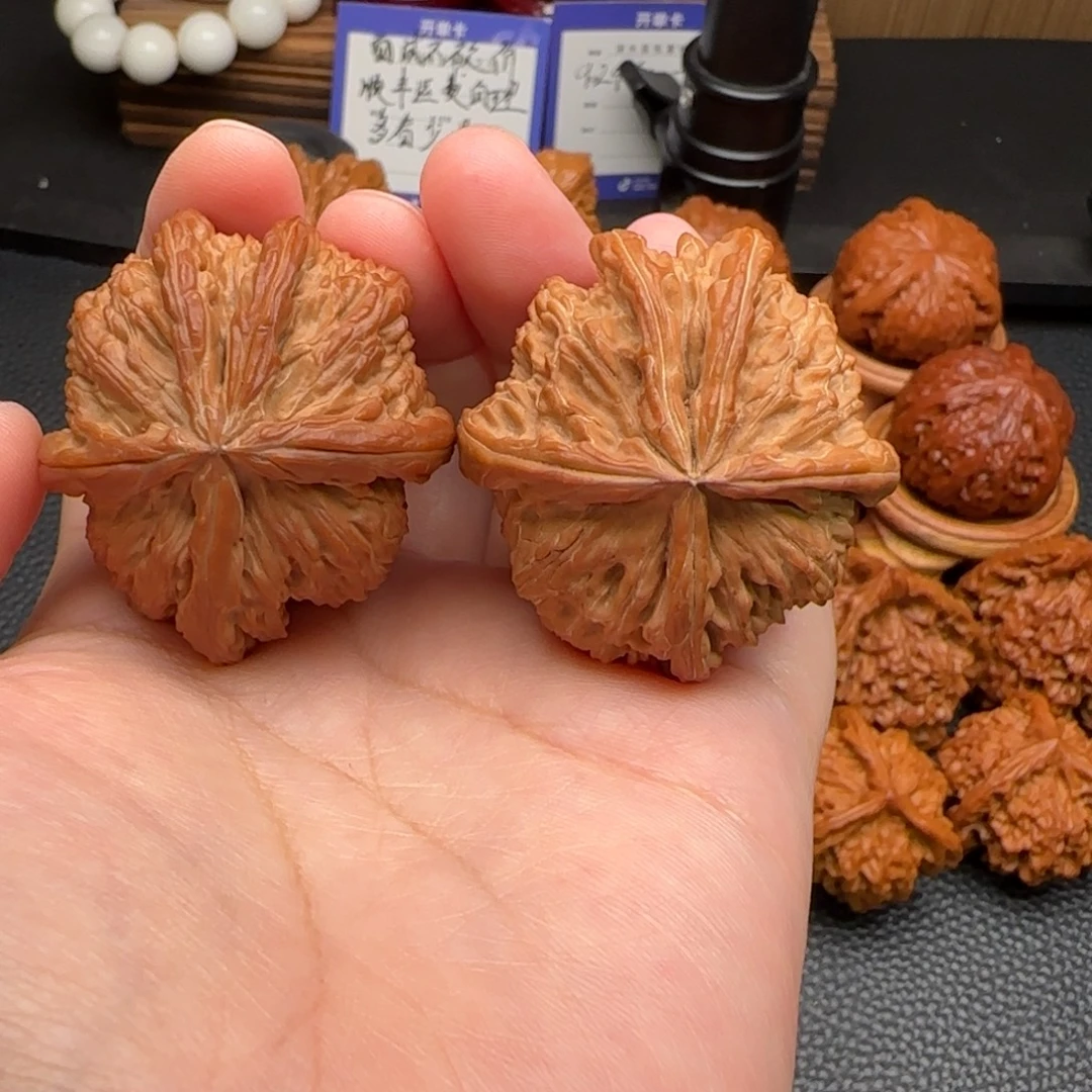 把件文玩核桃白狮子五星上将全品42