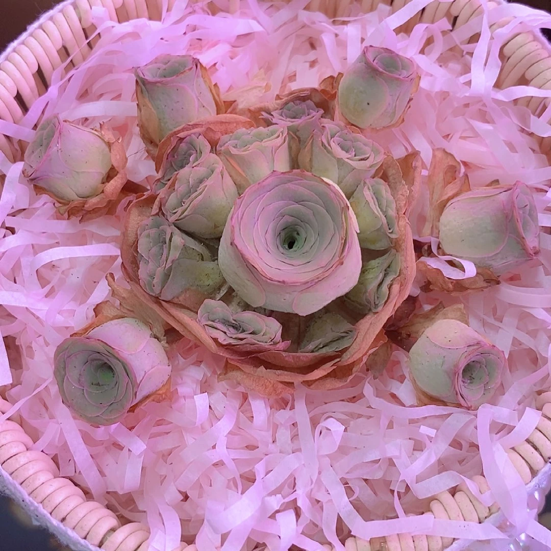 花千骨手捧一物一拍008