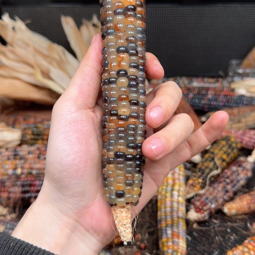 柏香籽/百香籽吊坠辰*辉