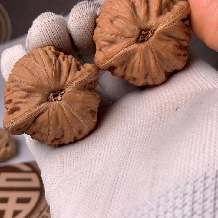 指***丶铁锤6只小龙虾一条小