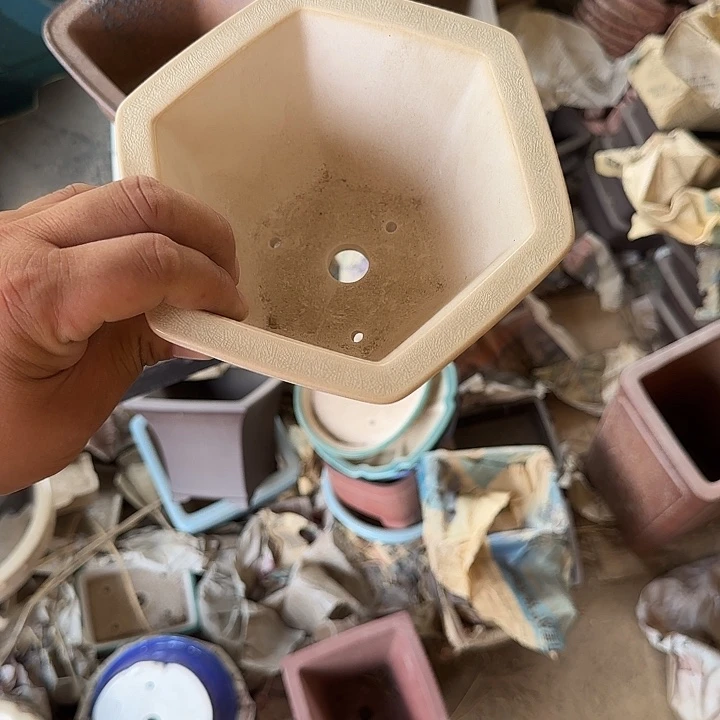 是因为它具有非常丰富且独特