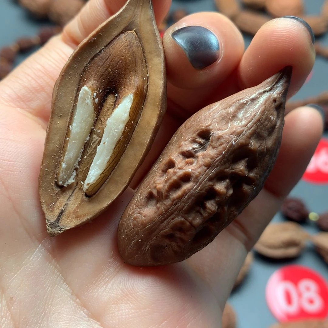 核桃7东北秋子半核桃