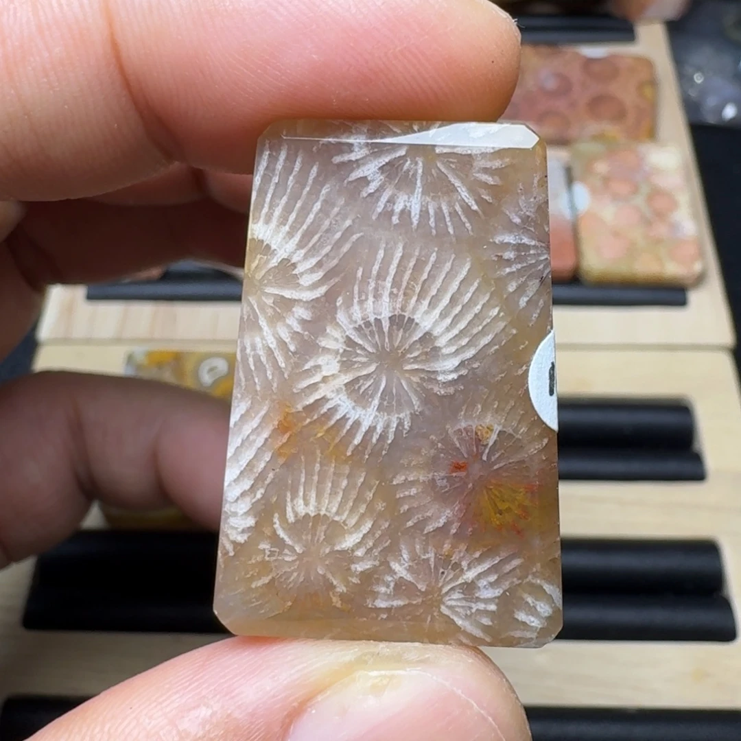 硅化玉未镶嵌纯天然色有机玉石保真色
