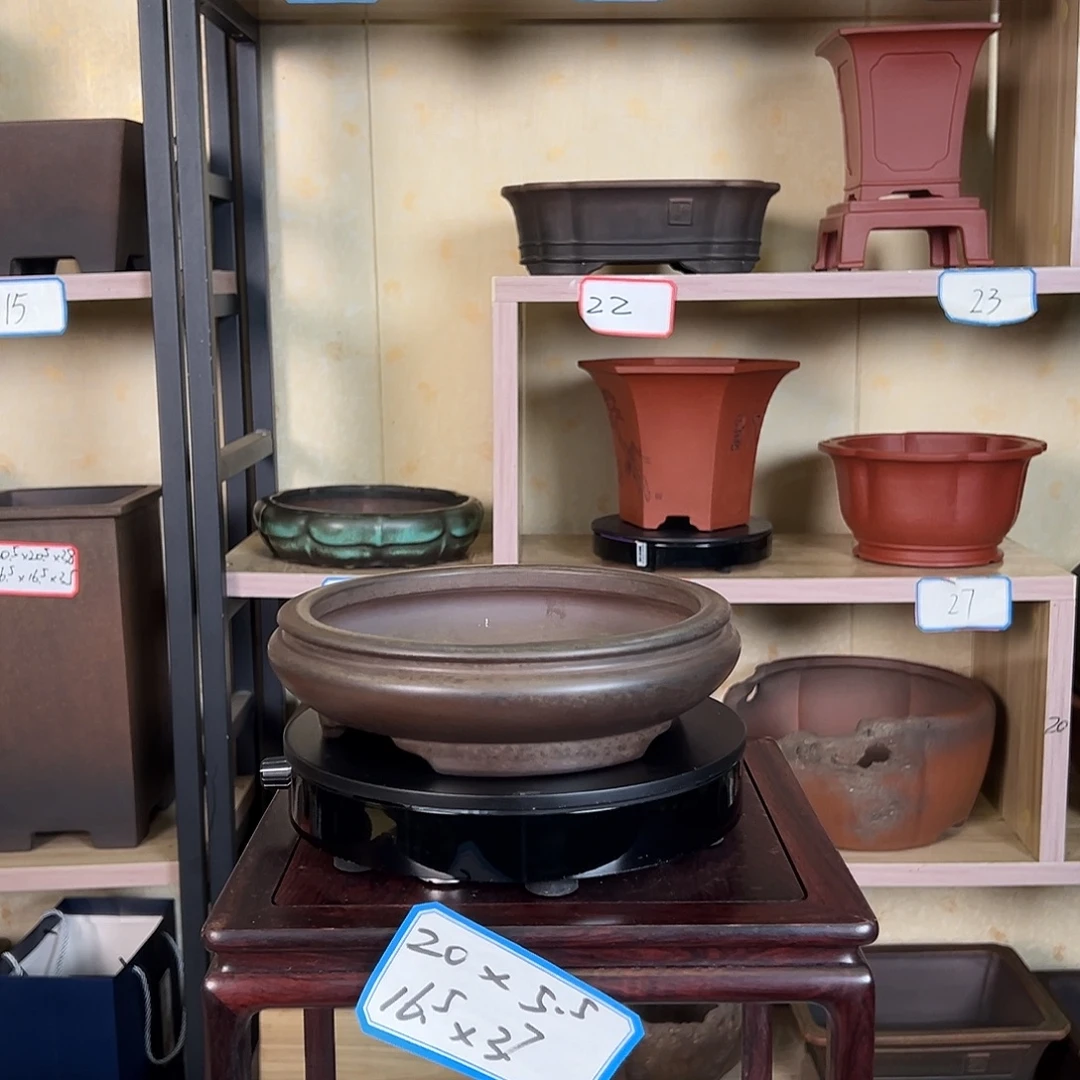 舞***骑紫砂花盆28665655888888