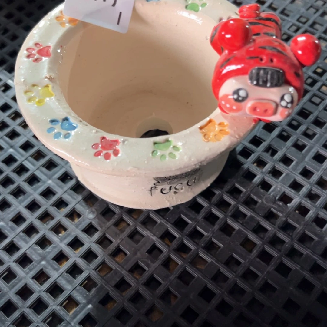 红陶豆****做321花盆1个