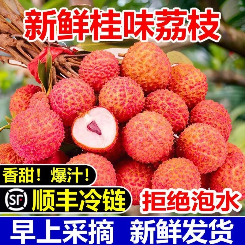 【顺丰冷链】广西/桂味荔枝新上市新鲜现摘当季水果冷链包邮