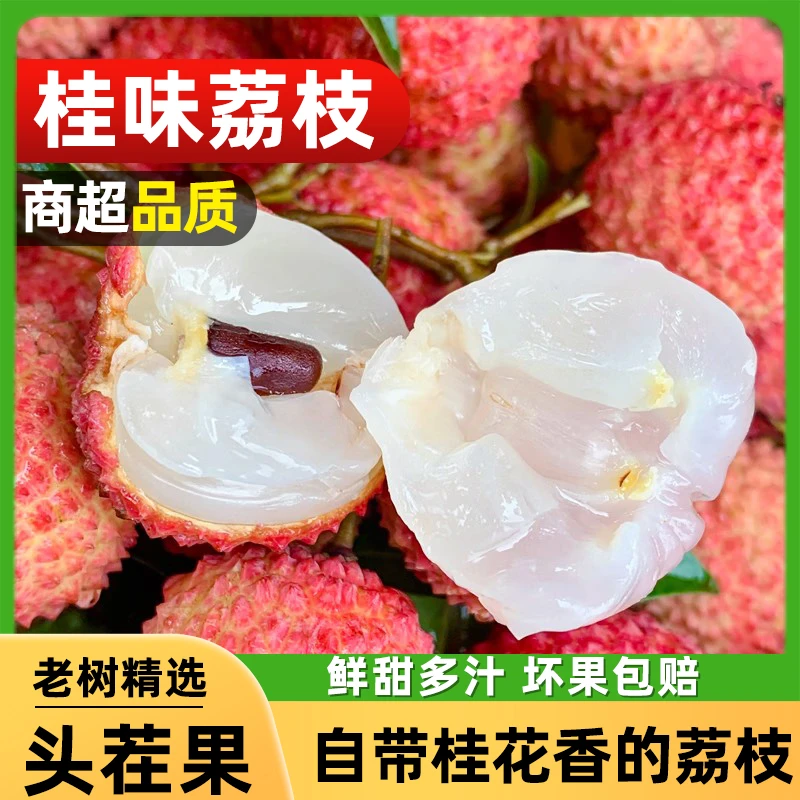 【冷链速运】正宗桂味荔枝 当季新鲜现摘老树清甜汁水果荔枝同城送