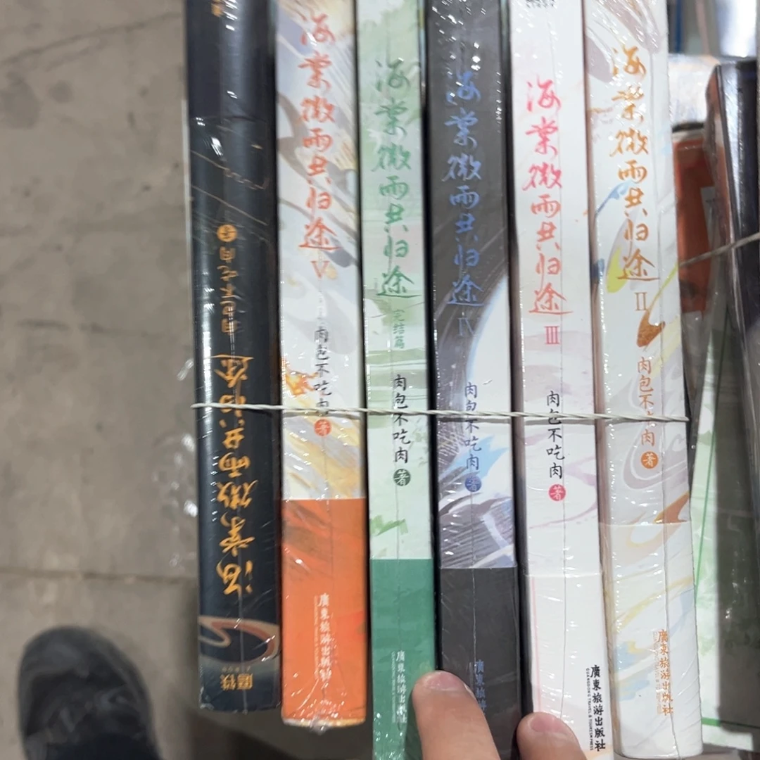 海棠微雨共归途新书全套福利