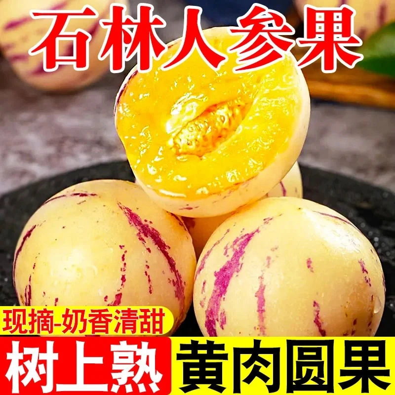 正宗云南石林果黄肉圆果树上熟清甜多汁当季新鲜水果