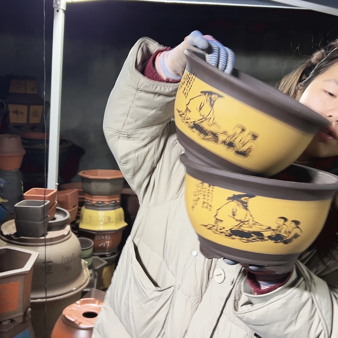 21+21黄色孔夫子三角金钟