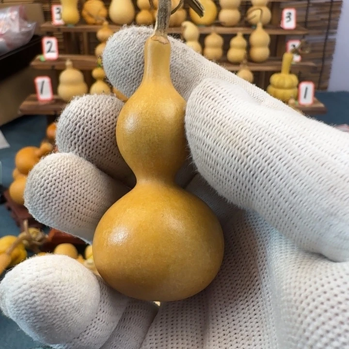 葫芦看好下单不退不换