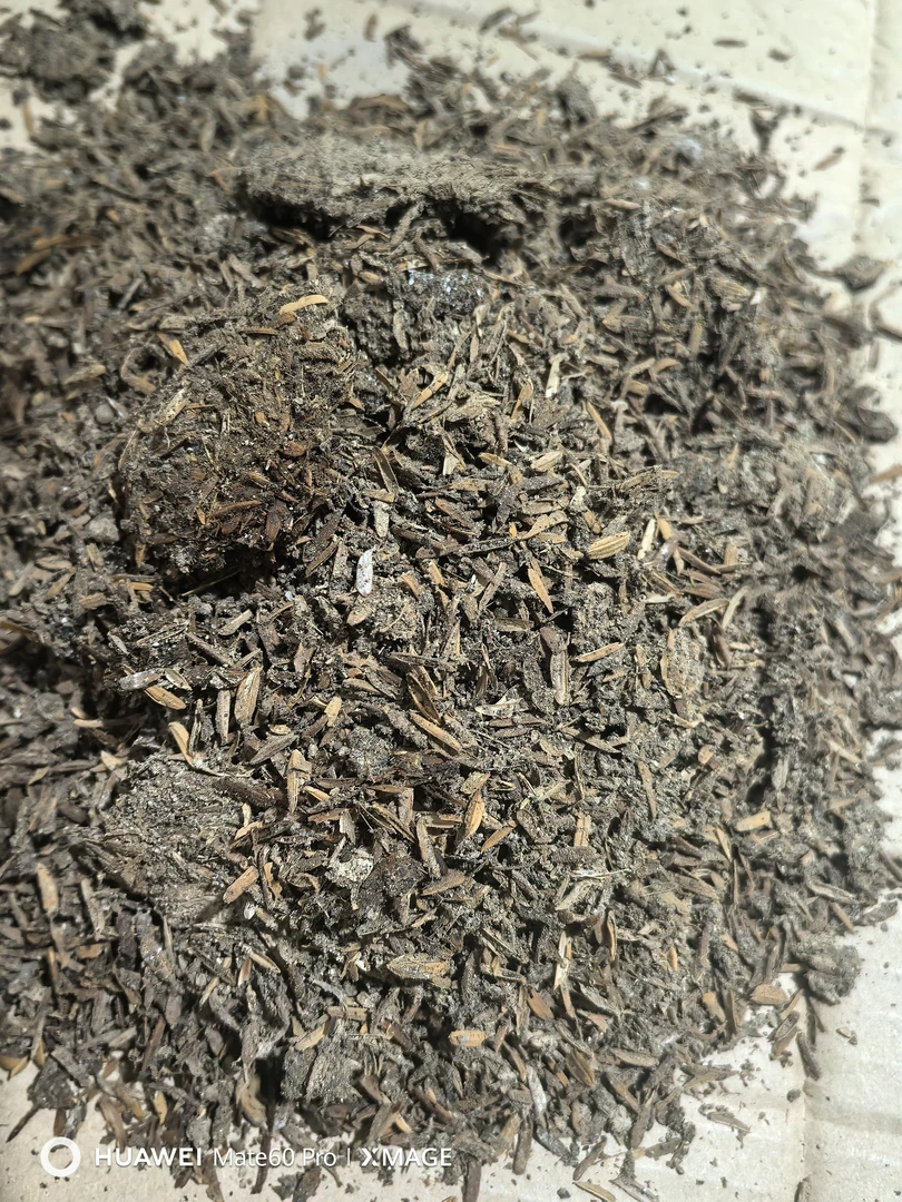 网红爆款三角梅（谷壳鸭粪肥料）