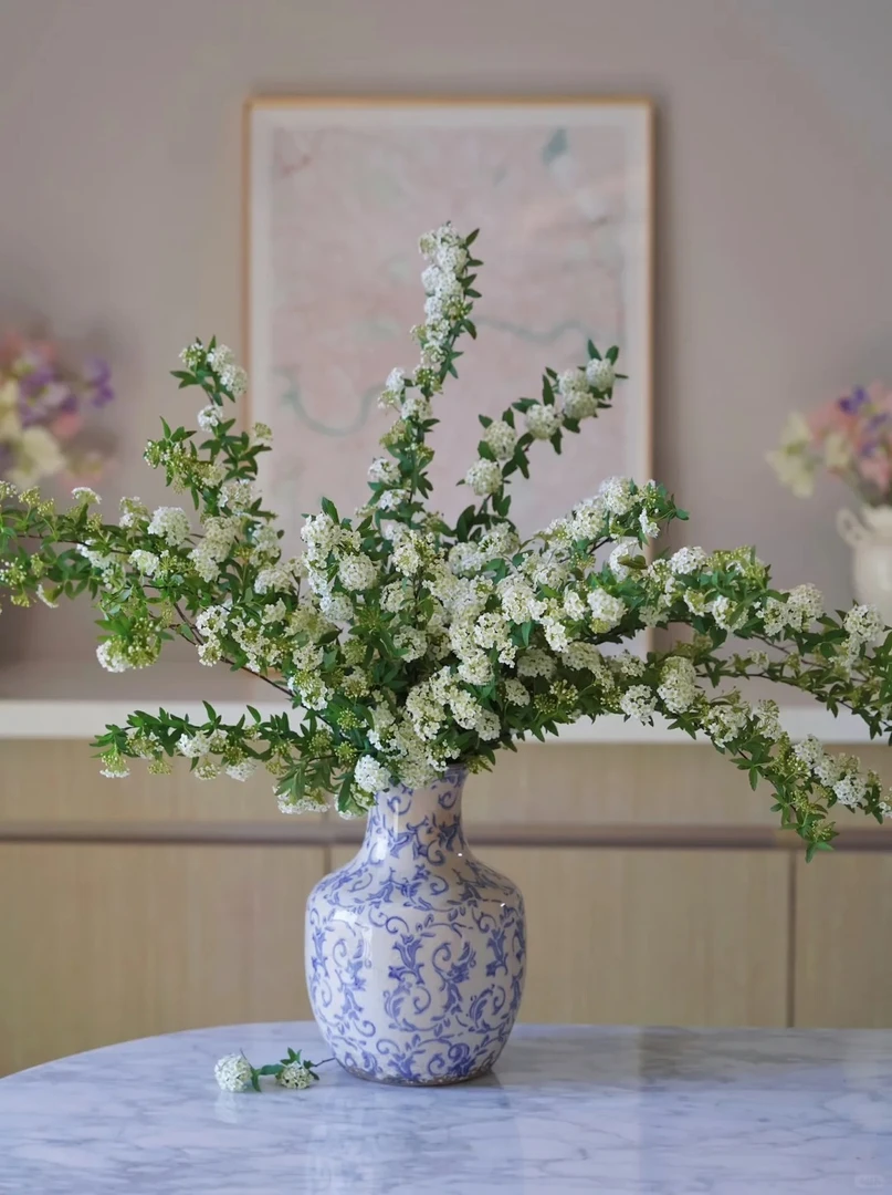 【小手球】家庭 氛围感  鲜切花