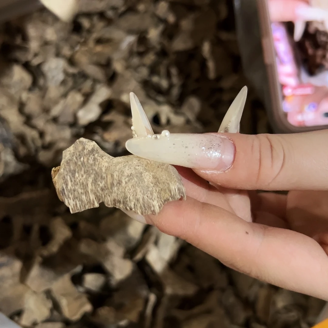 越南冷钻20克。