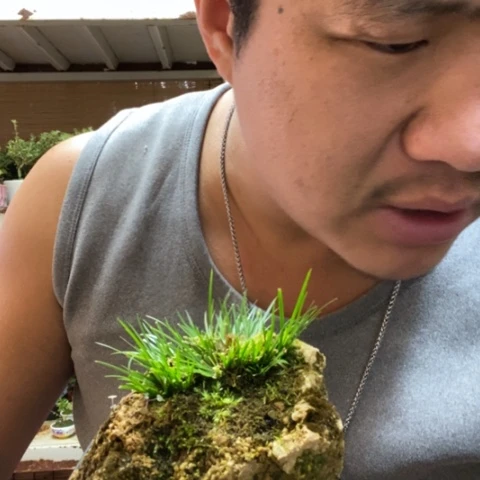 红陶一物一拍所见即所得87