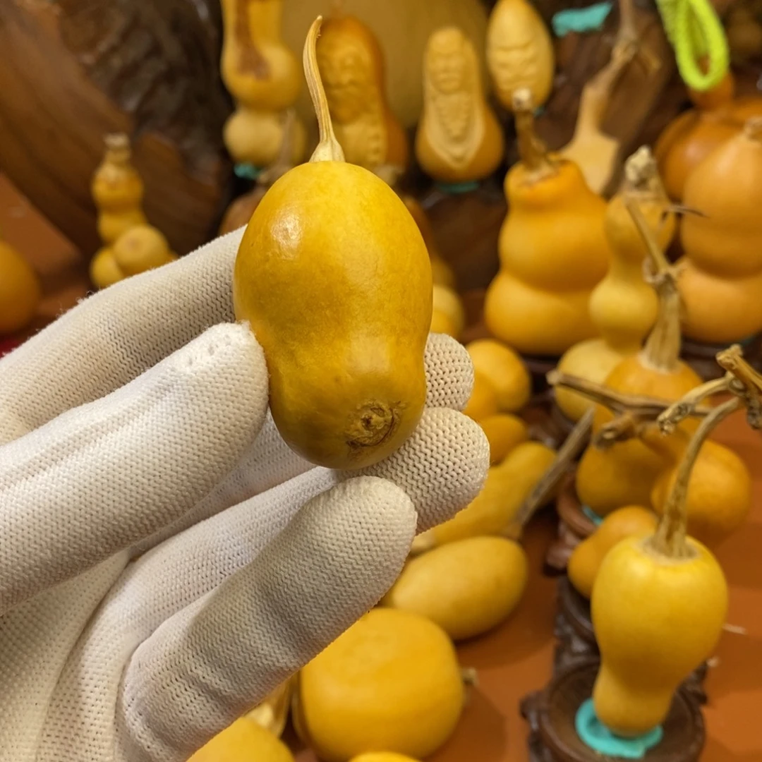 佛***人啦啦啦啦教练教练教练咯